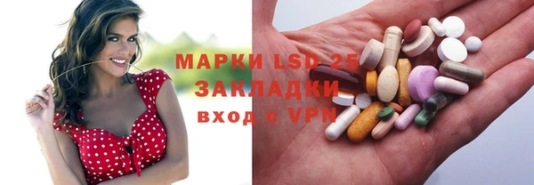ГАЛЛЮЦИНОГЕННЫЕ ГРИБЫ Покров