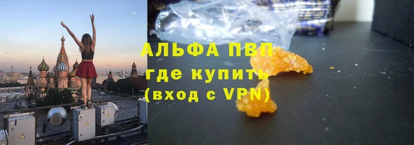 ГАЛЛЮЦИНОГЕННЫЕ ГРИБЫ Покров
