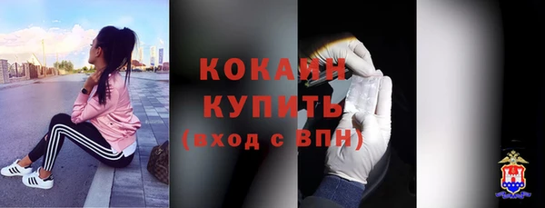 ГАЛЛЮЦИНОГЕННЫЕ ГРИБЫ Покров