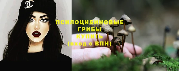 ГАЛЛЮЦИНОГЕННЫЕ ГРИБЫ Покров