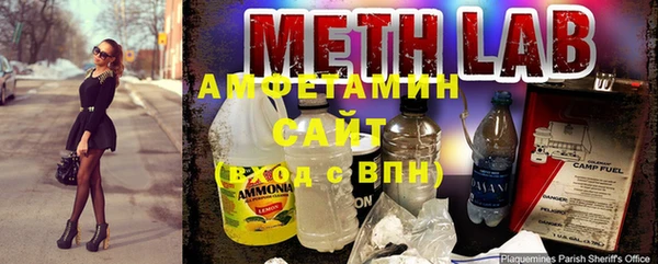 ГАЛЛЮЦИНОГЕННЫЕ ГРИБЫ Покров