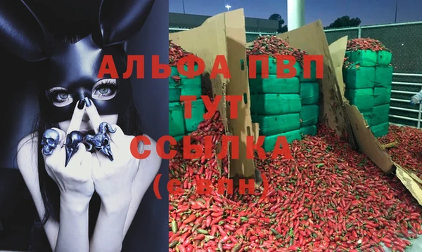 ГАЛЛЮЦИНОГЕННЫЕ ГРИБЫ Покров
