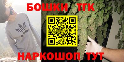 хмурый Дубна