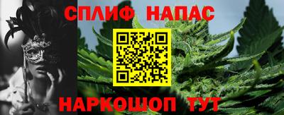 хмурый Дубна