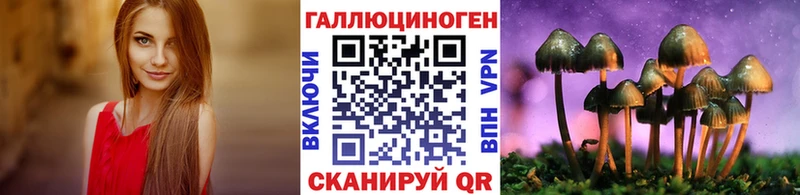 Галлюциногенные грибы Psilocybine cubensis  это официальный сайт  Мурманск 