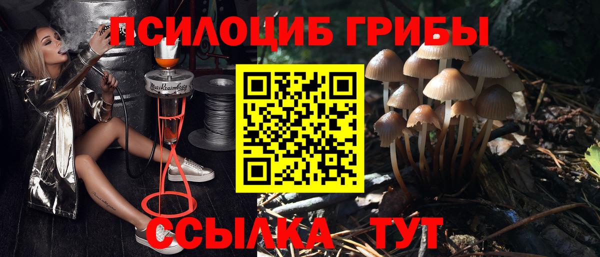 Мурманск  Галлюциногенные грибы Cubensis  Вход с VPN 