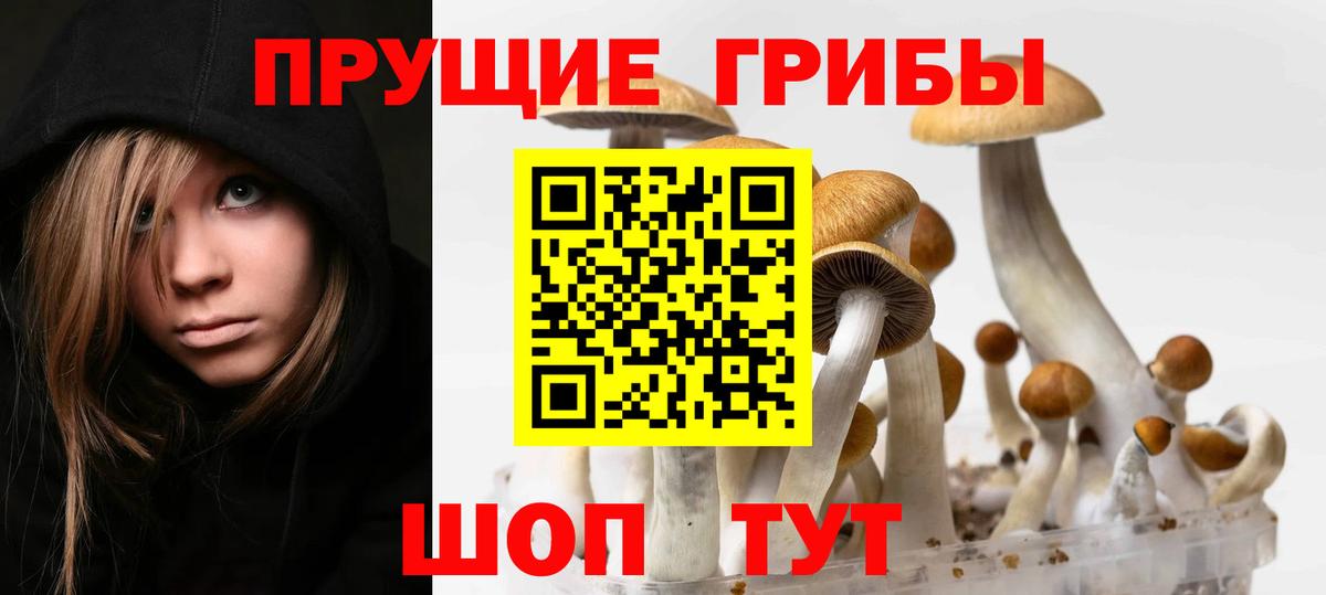 Псилоцибиновые грибы мицелий Мурманск
